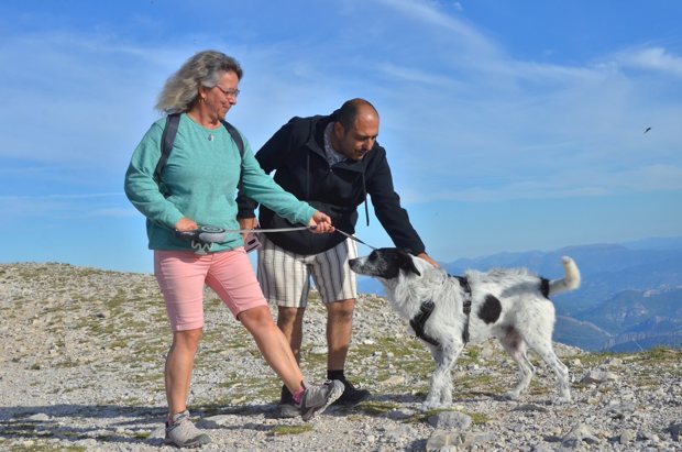 Deux promeneurs avec un chien blanc et noir au sommet.