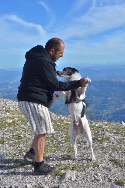 Un homme tient les pattes avant d’un chien blanc et noir devant les montagnes.