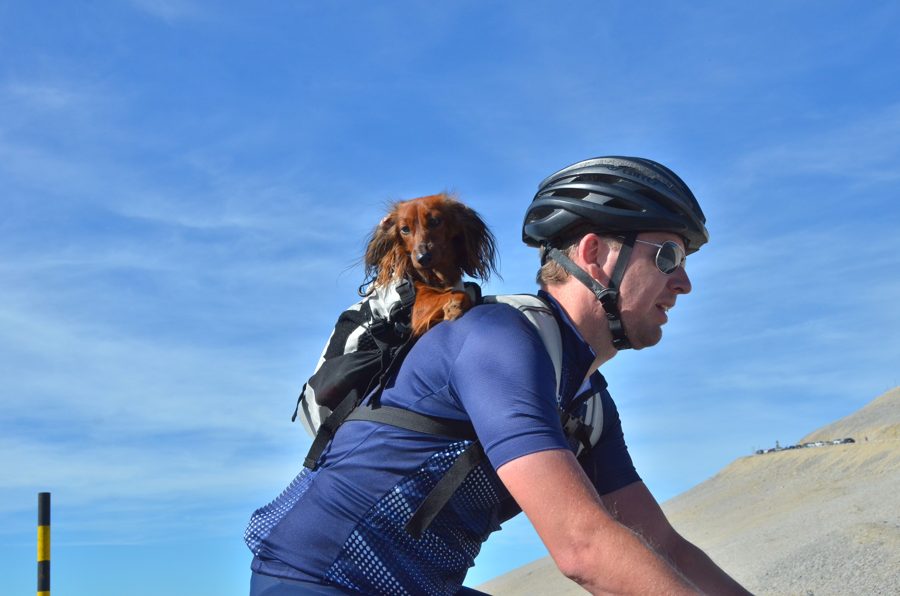 Le portrait — photographie de Charly au Mont Ventoux (CHA_4645).